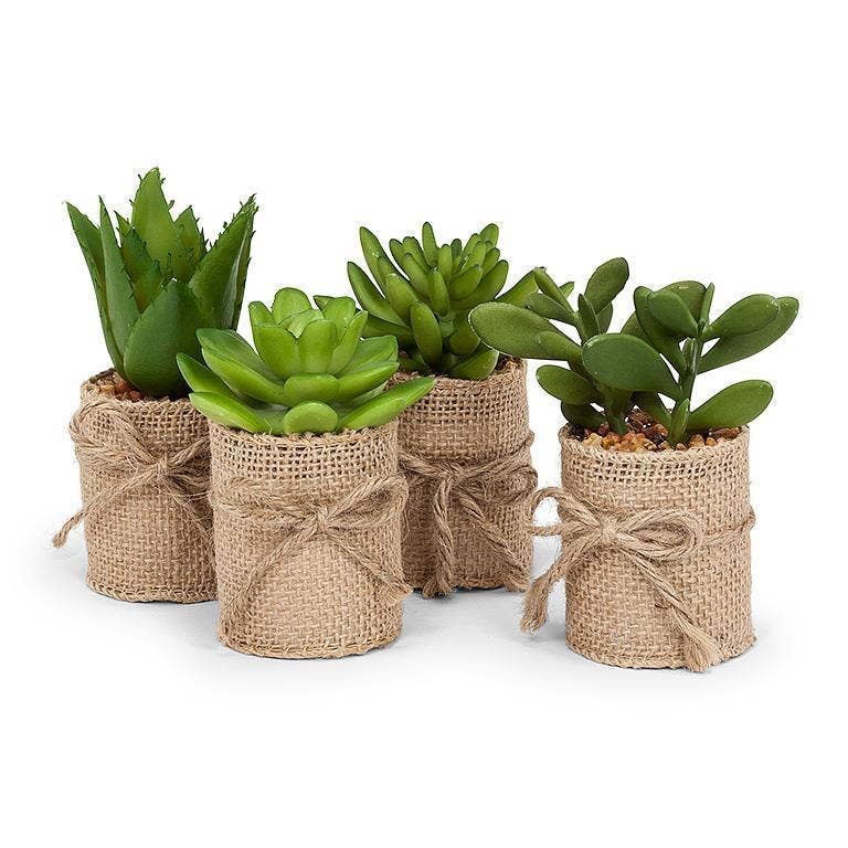 Abbott - Vente Plantes artificielles - Ensemble de 4 plantes succulentes dans un emballage en toile de jute - 4"H - Liquidation0