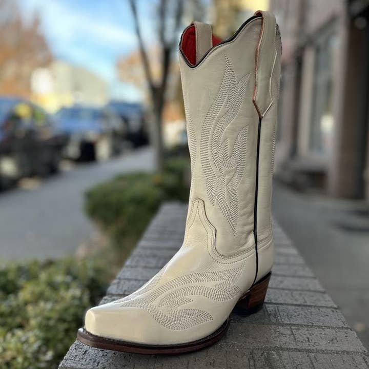 Kokosnötter för wholesale av Planet Cowboy