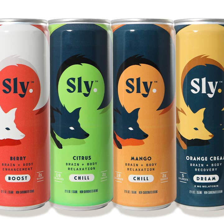 Sly "Spaß & Funktional" 12er-Varietätenpackung (je 2 Stück) für den Großhandel von Sly™️