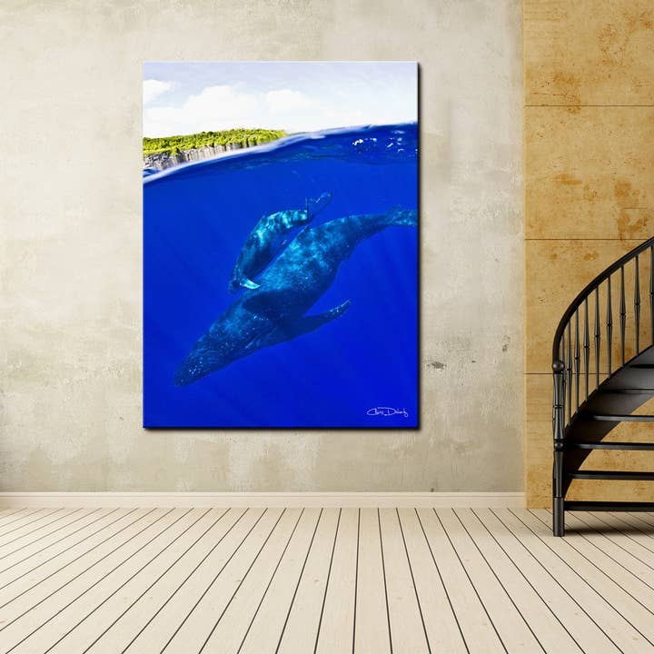Chris Doherty 'Hvaler' Lærred vægkunst for engroshandel hos Ready2hangart, Inc.