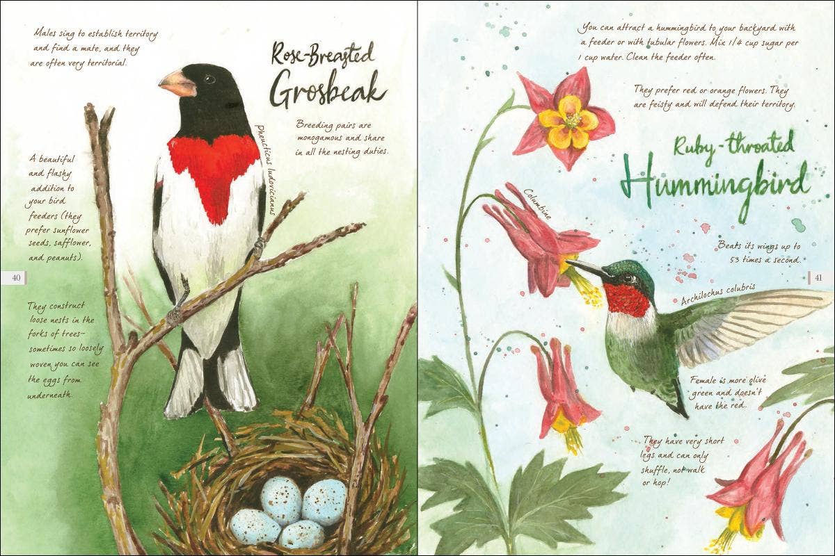 AdventureKEEN - Vente Nature et plein air - Drawn to Birds : Carnet de croquis d'un naturaliste10