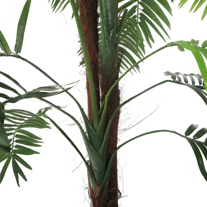 Closer2Nature - Venta al por mayor Plantas artificiales - Palmera Kentia artificial de 5 pies4