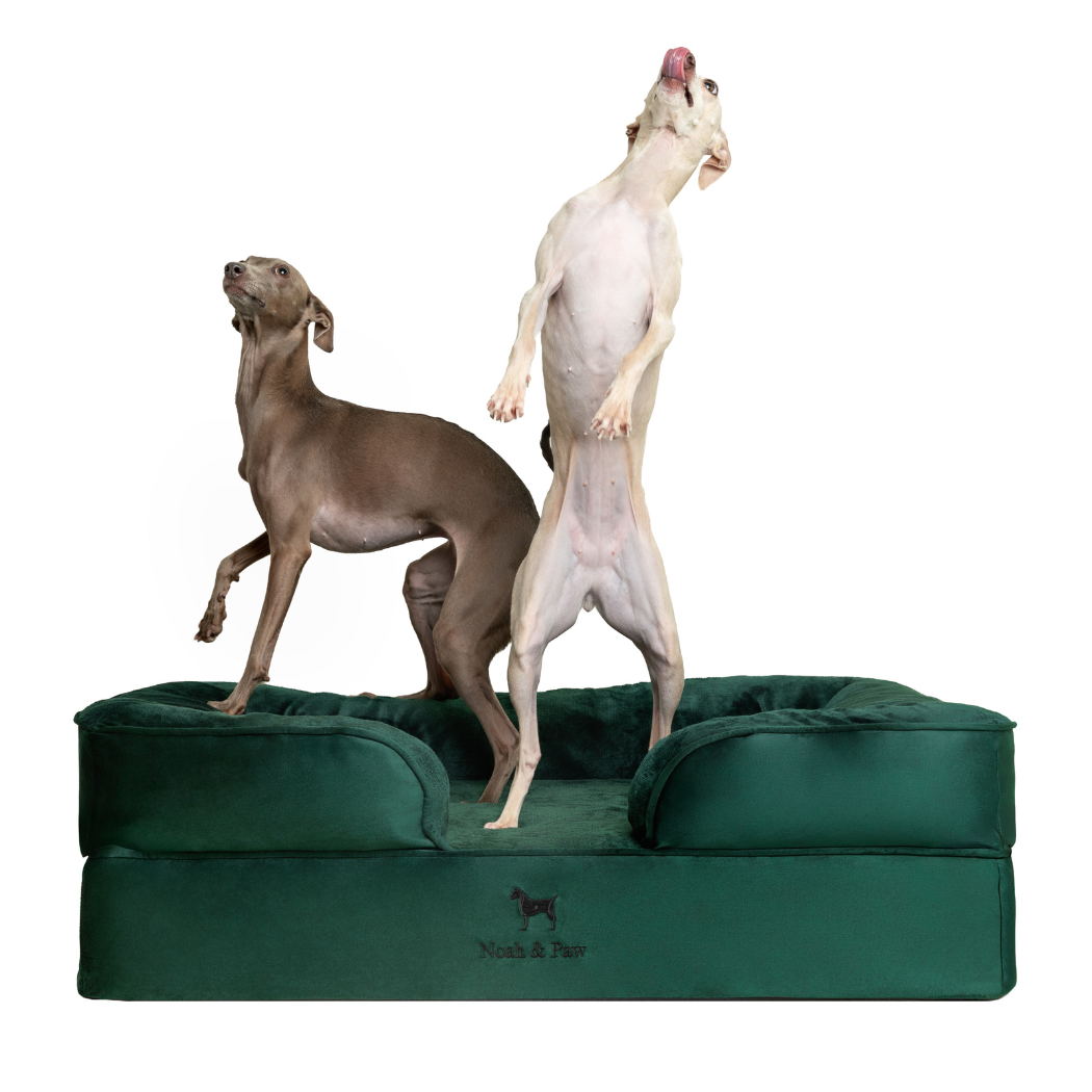NOAH AND PAW LLC - Wholesale Bed voor huisdieren- Kat/hond - Velvet orthopedisch hondenbed met memoryfoam en verkoelende gel2