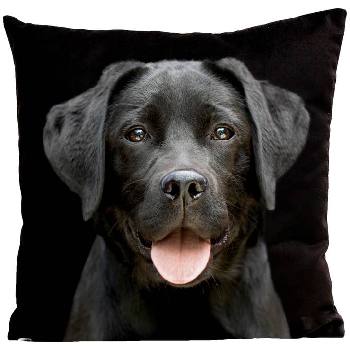 Artpilo - Wholesale Throw/Decorative Pillow - Pilou Cushion