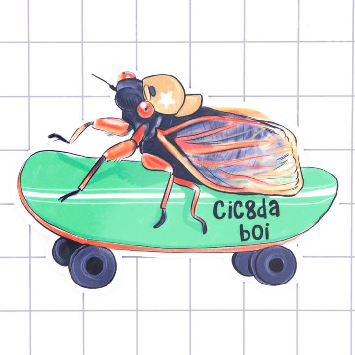 Cic8da Boi Vinyl Sticker for wholesale by Amy Hartelust Art and Illustration