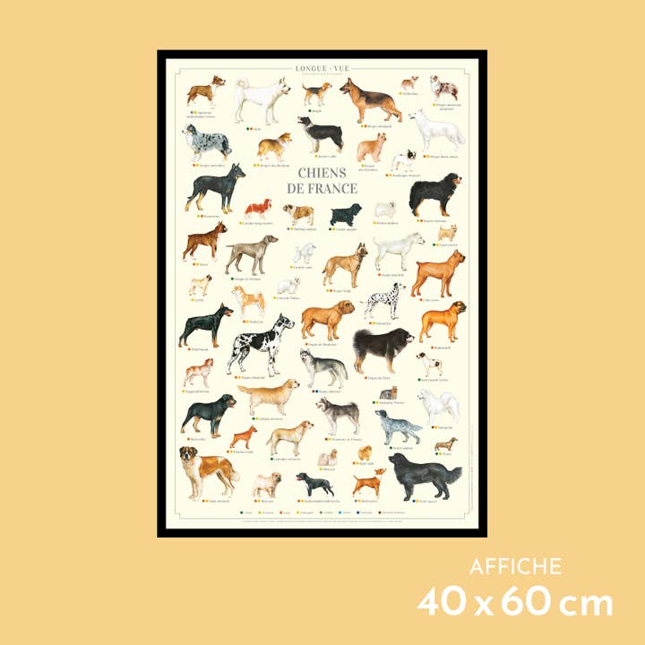 Cani di Francia - Poster per la vendita all'ingrosso da parte di Longue-vue
