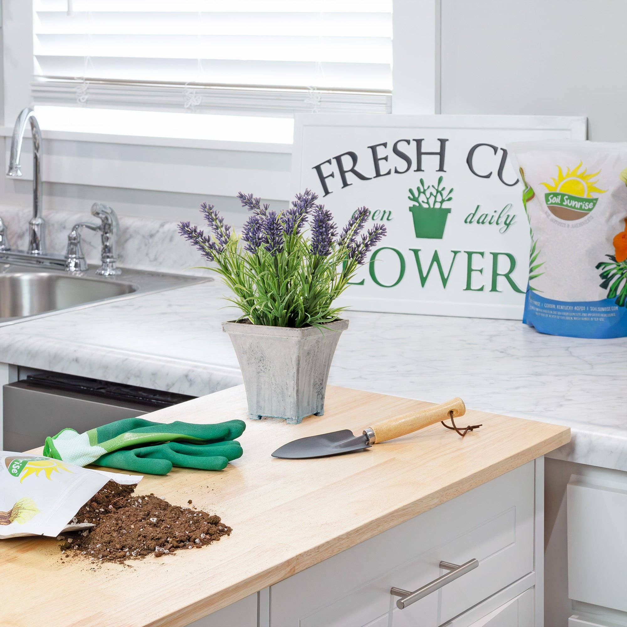 Kurated Korner - Vente Terreau de plantation/rempotage - Mélange de terreau à la lavande Soil Sunrise5