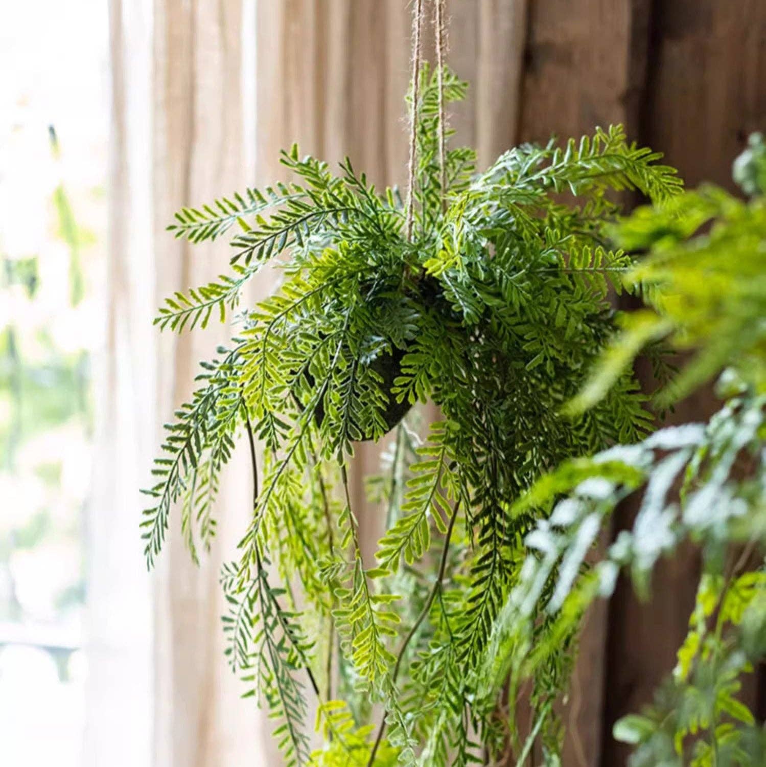 Rustic Reach - Wholesale Artificial Plant - Artificial Fern Hanging Ball Decoration4
