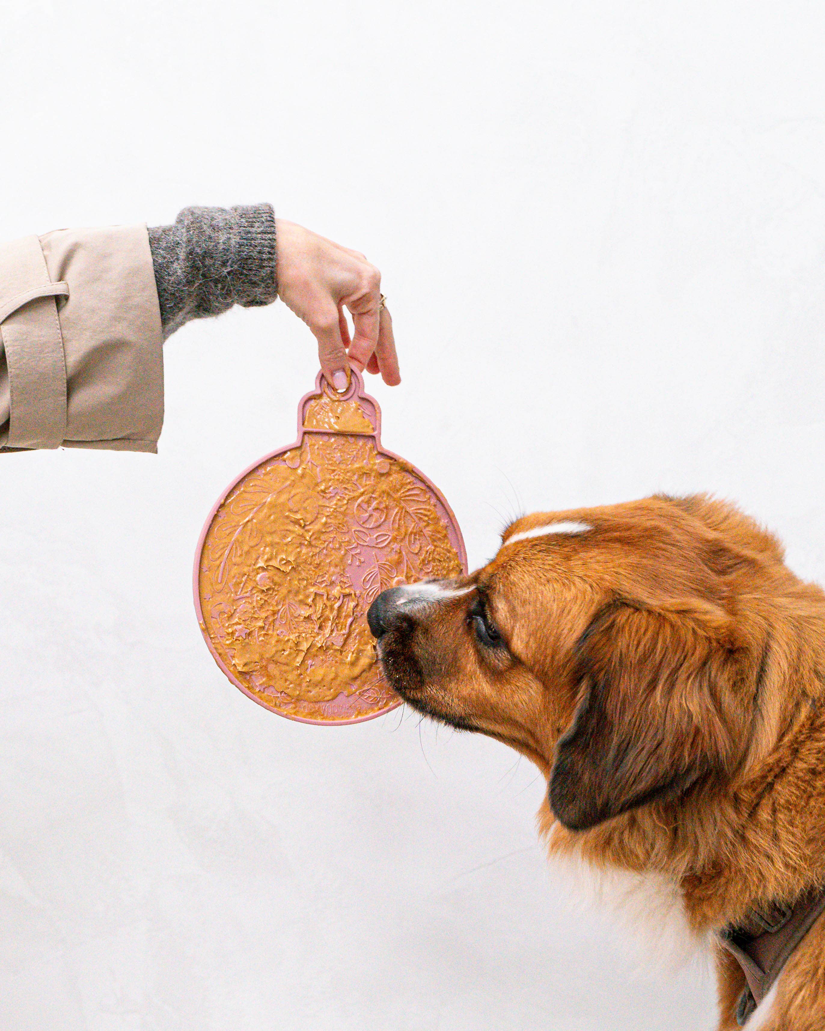 dexypaws - Wholesale Pet Food Mat - Dog - 2 Piece Ornament Lick Mat & Spatula Set1