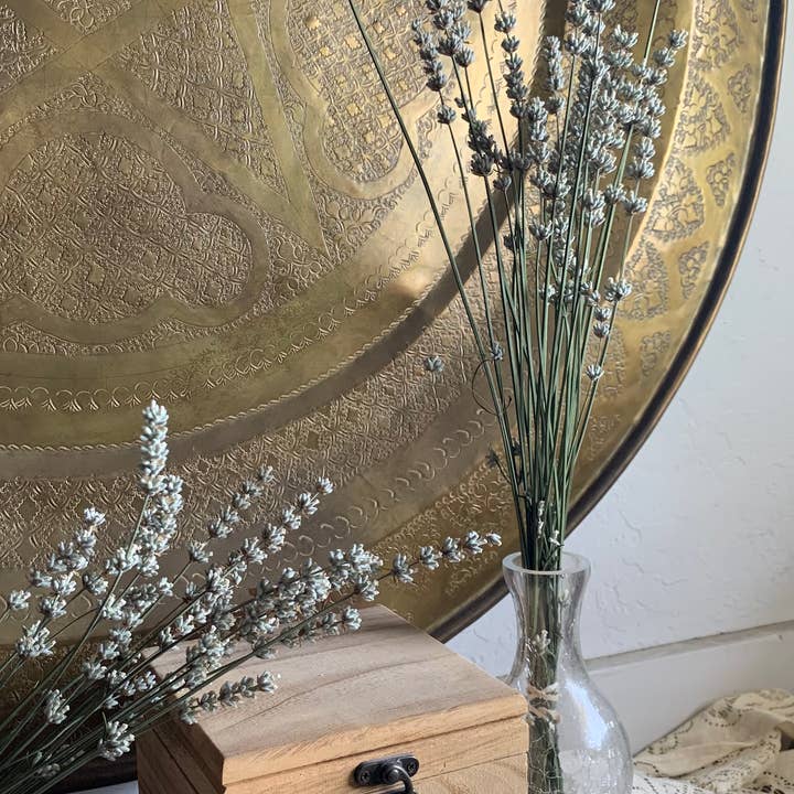 Twig and Snip - Wholesale Dried/Pressed Flowers - Dried White Lavender - Healing Flowers2