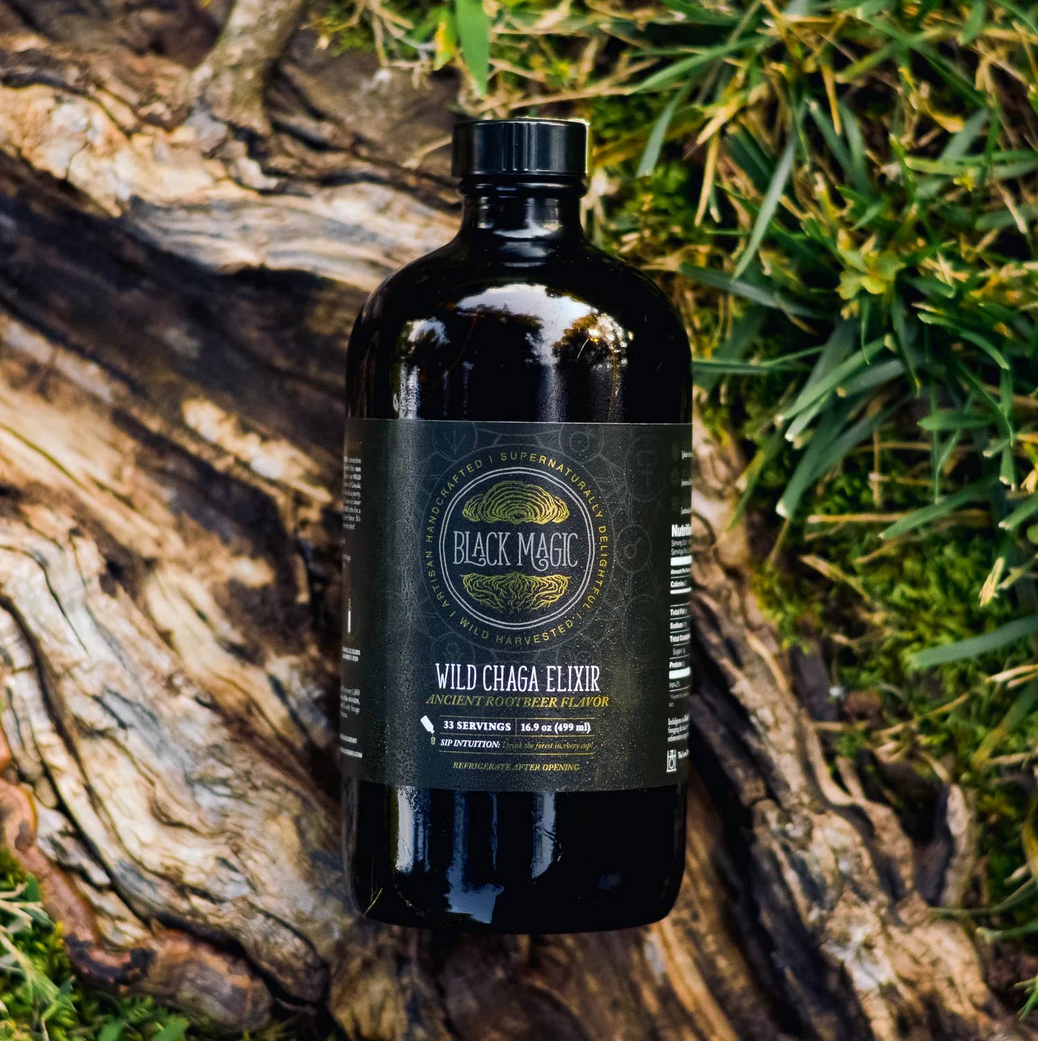 Black Magic Alchemy - Vendita all'ingrosso Tinture - Wildcrafted Chaga Ancient Rootbeer Elixir | 16,9 once (30 giorni)