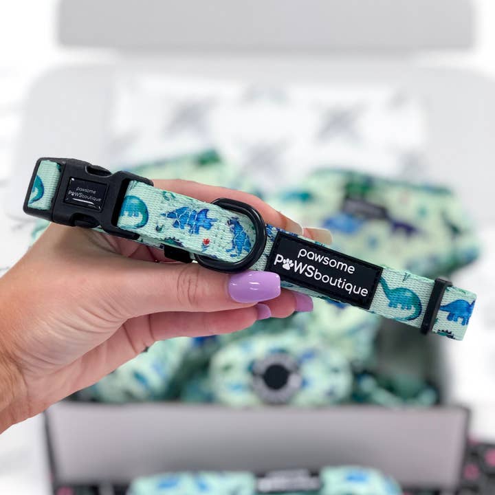 Pawsome Paws - Wholesale Pet Collar - Dog - Collar – Dinky Dino