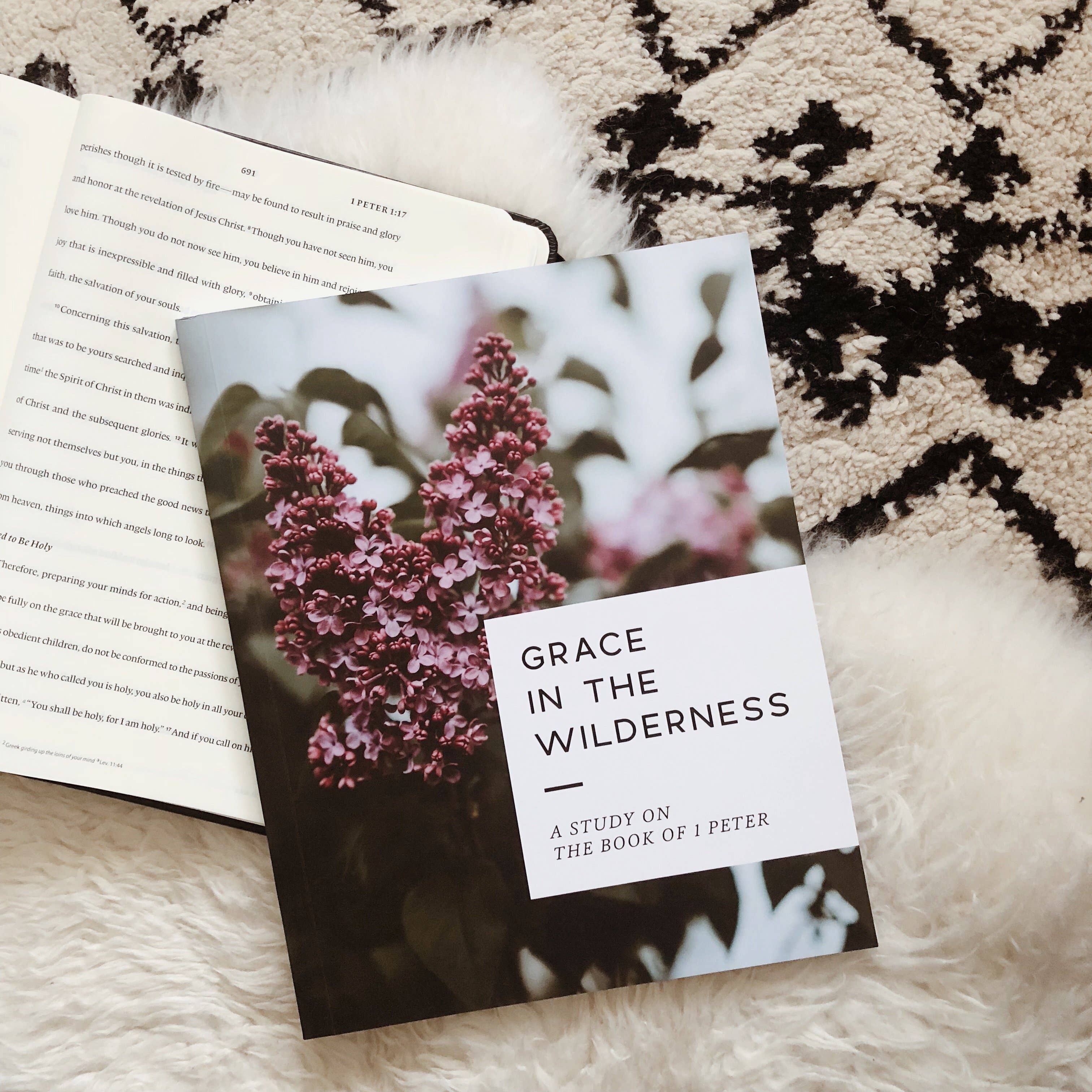 The Daily Grace Co - Wholesale Religion - Grace in the Wilderness | Study on 1 Peter7