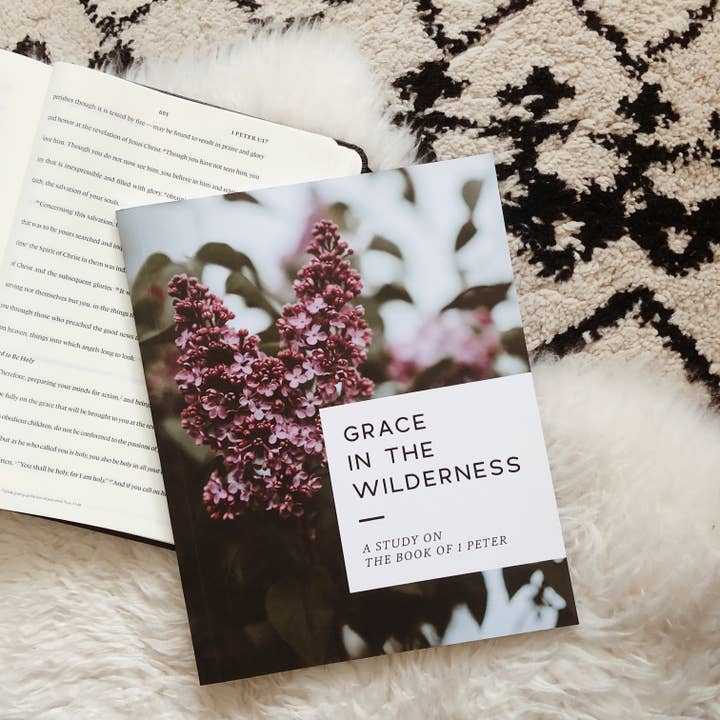 The Daily Grace Co - Wholesale Religion - Grace in the Wilderness | Study on 1 Peter7