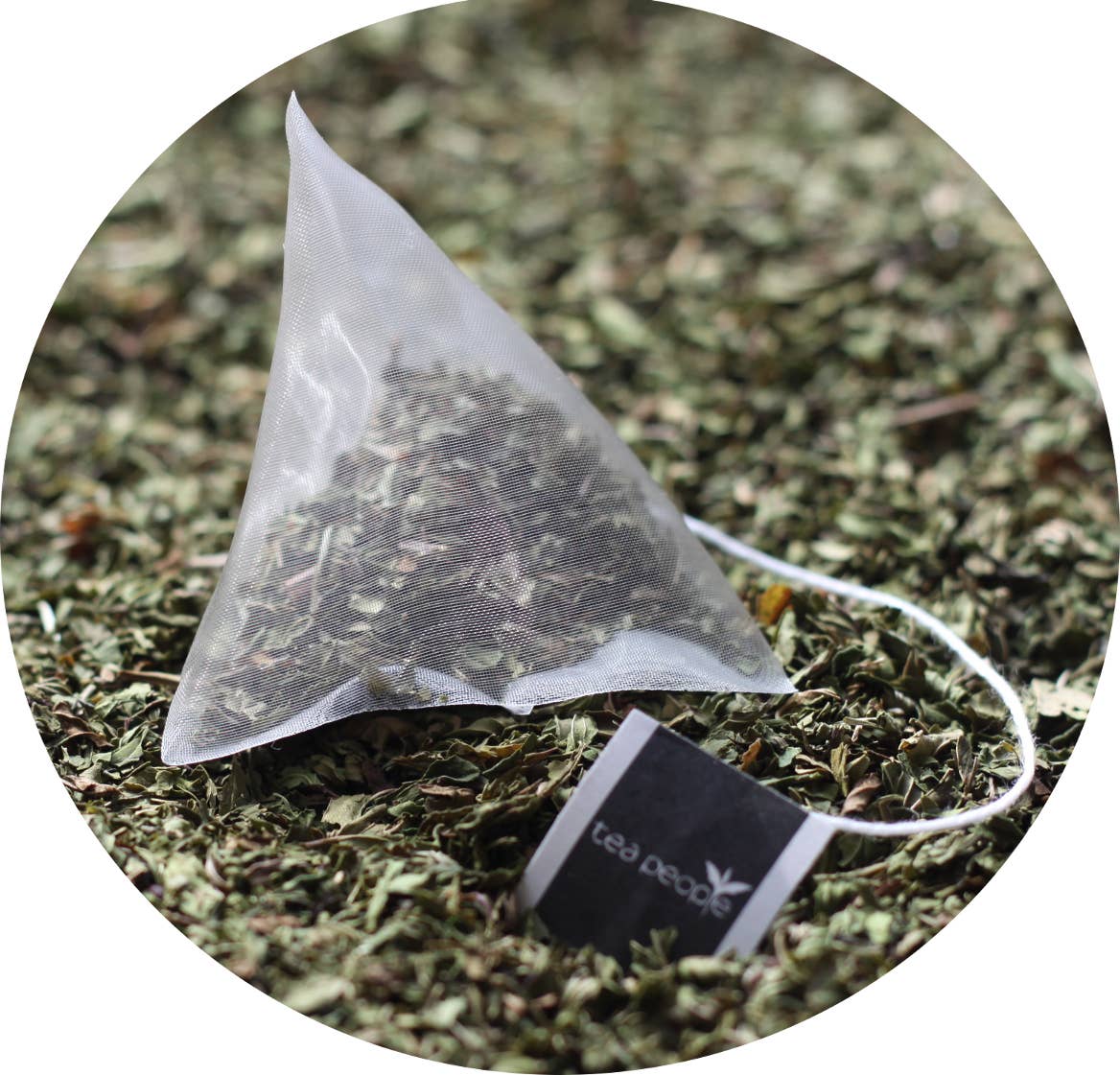 Tea People – Sacos de chá por atacado – Chá de hortelã - 20 Pyramid Tin Caddy1