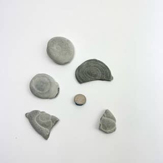 Pelham Grayson Rose - Wholesale Spiritual Stone/Crystal - Fairy Stone Concretion | Quebec, Canada4