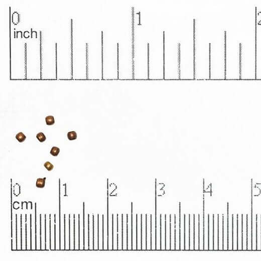 Continental Beads - Wholesale Craft Supplies - Crimp Bead Seamless - Measures 2mm - Size XXS - Available in Multiple Colors - Sold by the Gross - CRBD29