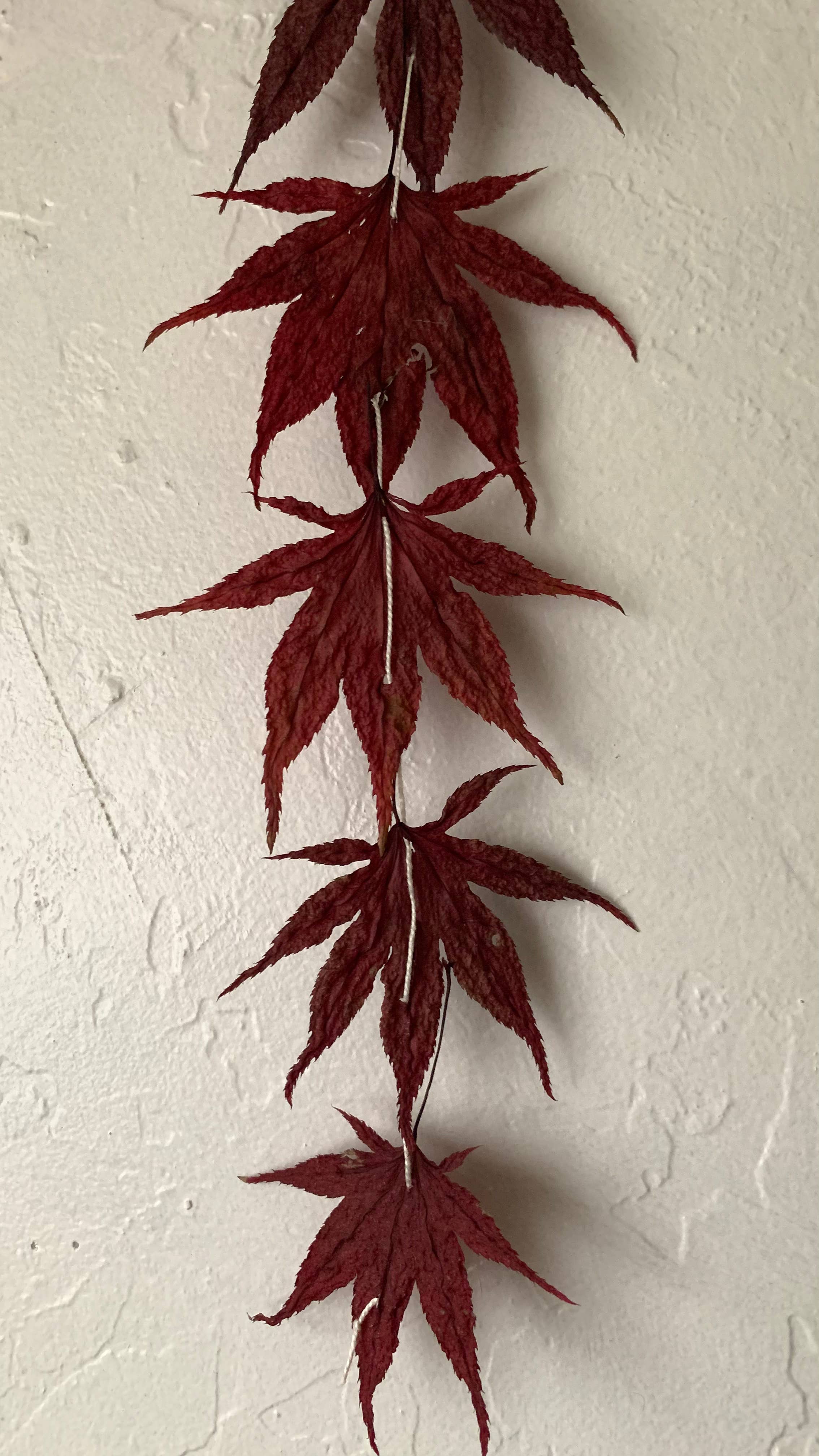 Twig and Snip - Wholesale Bunting/Garland - Dried Japanese Maple Leaf Dangle - Burgundy1