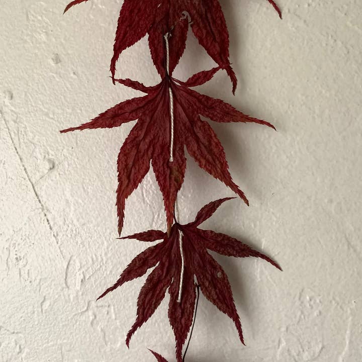 Twig and Snip - Wholesale Bunting/Garland - Dried Japanese Maple Leaf Dangle - Burgundy1