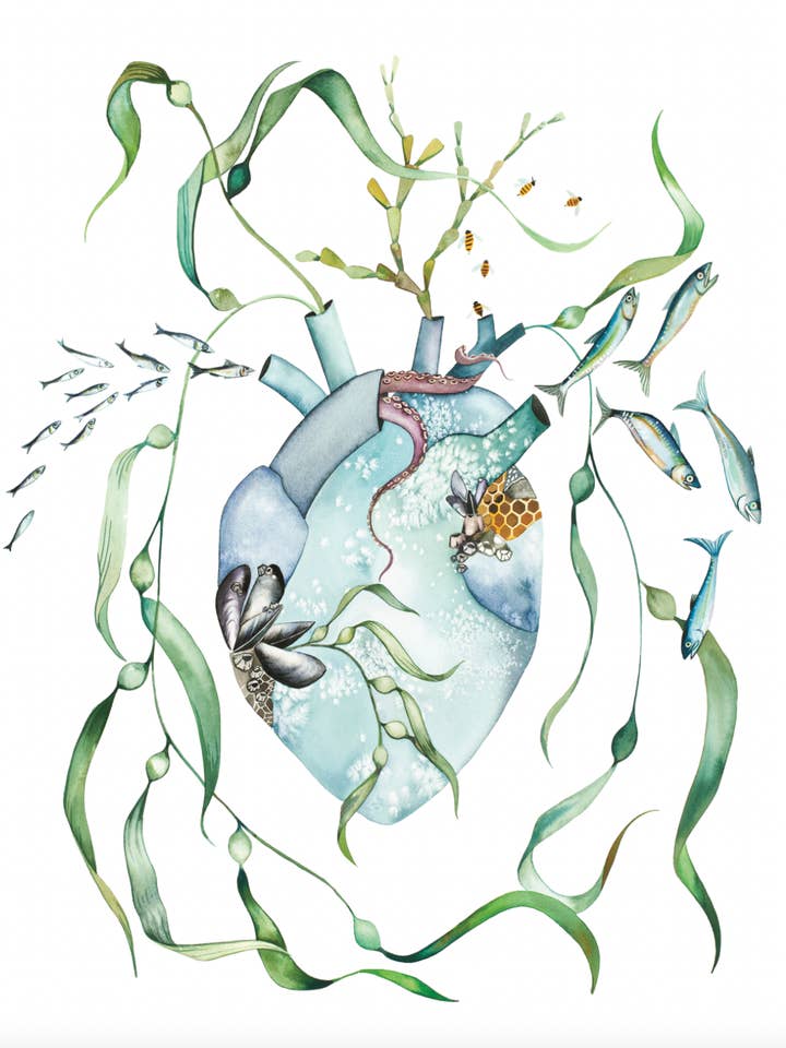 Lámina artística en acuarela Ocean Heart para venta al por mayor de McKella Jo