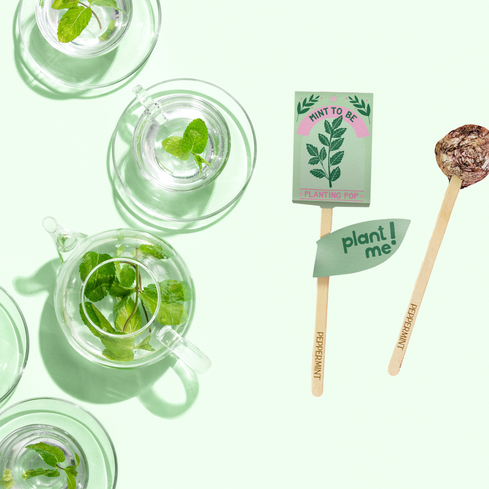 Sow the Magic - Wholesale Plant Seeds - Mint To Be 💚 Garden + Gift Seed Planting Pop1