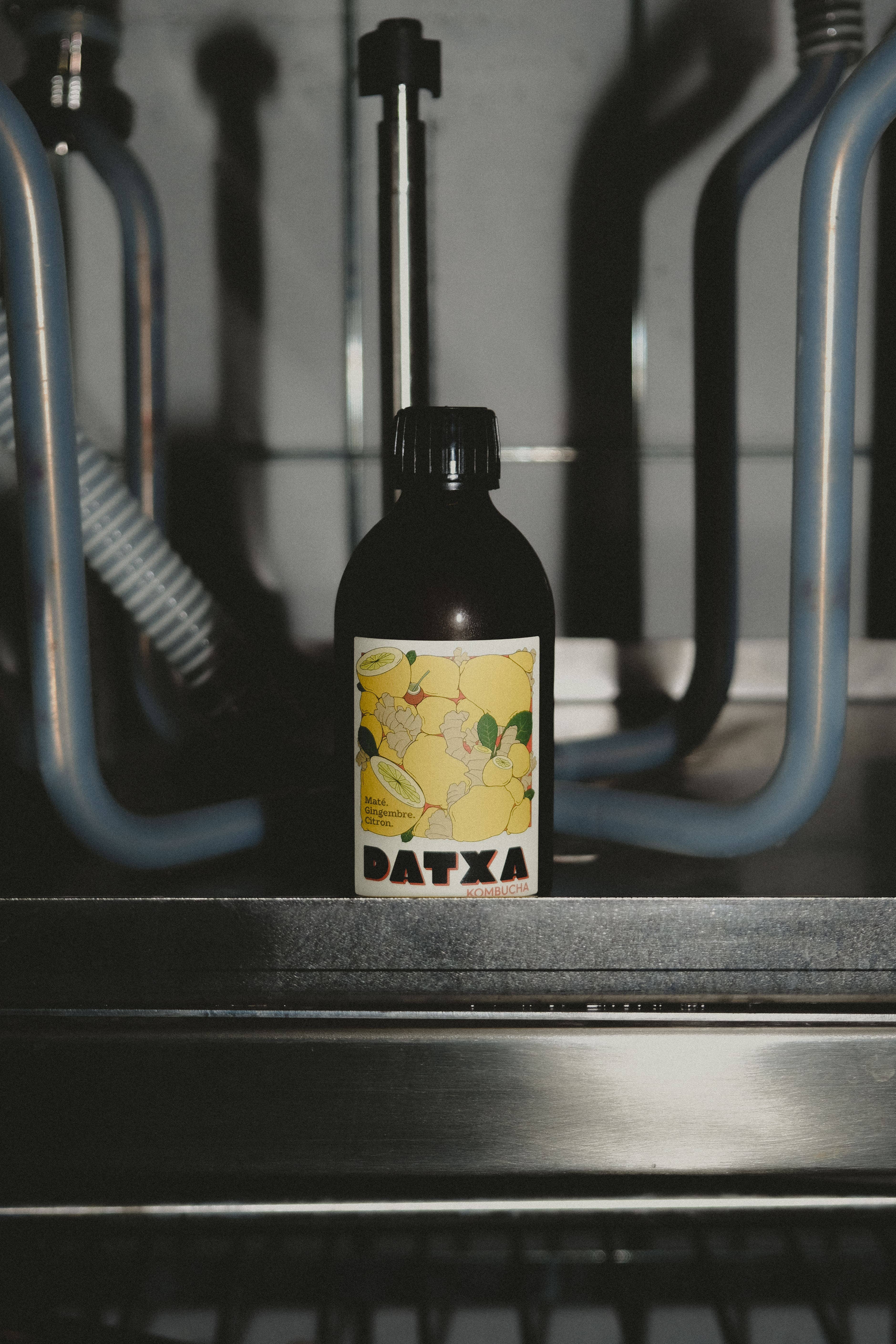 Datxa Kombucha - Wholesale Kombucha - Kombucha Mate Ginger Lemon Bio/Organic2