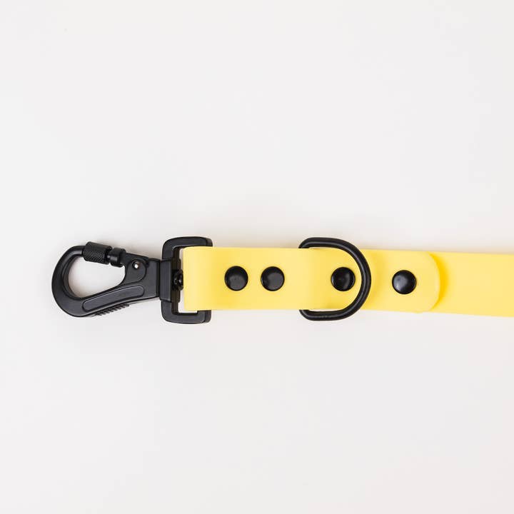 The Modern Dog Company – wholesale Hundkoppel - Hund – Påsklilja gult koppel (väder- och luktbeständigt)