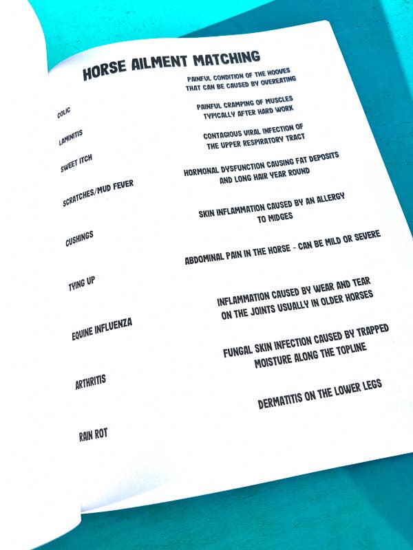 Circus Unicorn Shop - Wholesale Education Book - The Riding Student's Horse Workbook4