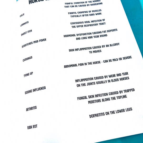 Circus Unicorn Shop - Wholesale Education Book - The Riding Student's Horse Workbook4