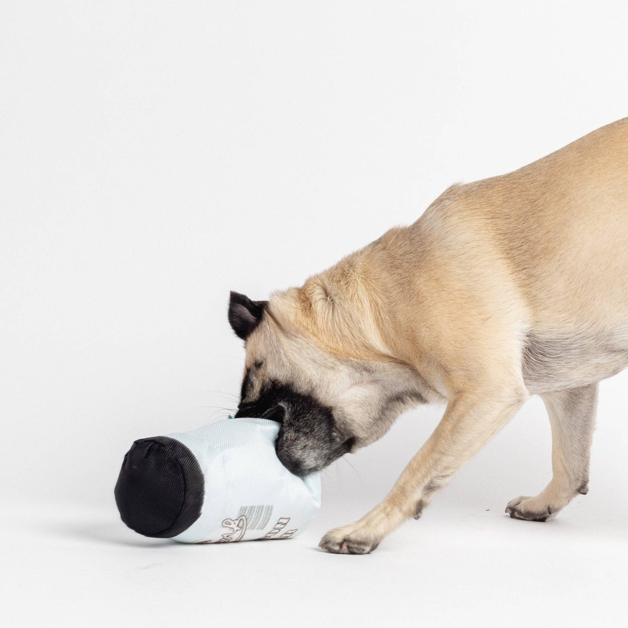 Silver Paw - Vente Set de jouets – chien - Lot de 2 jouets pour chiens Fish & Mason Jar2