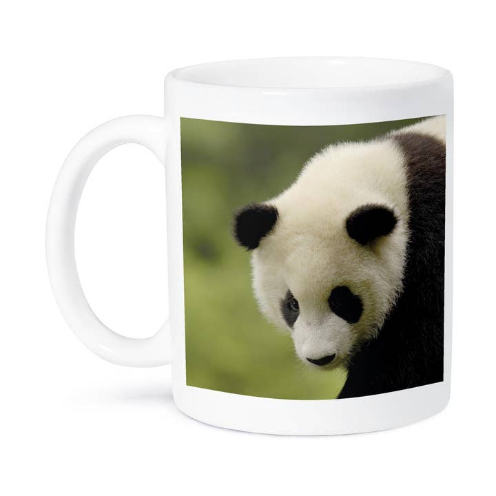 3dRose, Giant panda bears, Wolong China Conservation, CHINA-AS07 POX0368 - Pete Oxford, Mug for wholesale by 3dRose