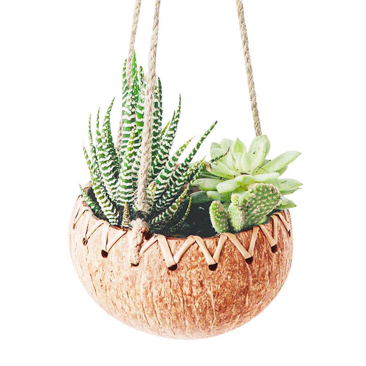 Rainforest Bowls – wholesale Hanging planter – Hanging Fiber Coconut Planter