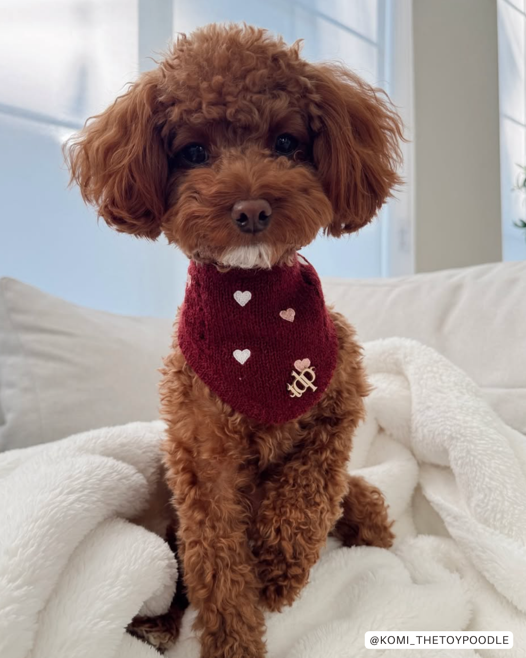 The Deluxe Pup - Wholesale Pet Bandana - Dog - BANDANA | CHÉRIE6