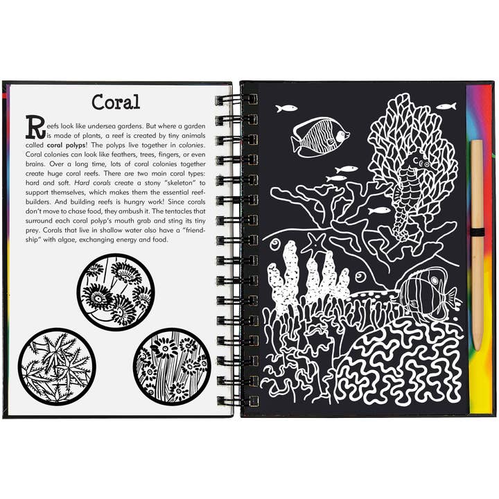 Peter Pauper Press - Wholesale Sketchbook/Sketchpad - Coral Reefs Scratch and Sketch5