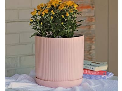 Pacific Home & Garden - Wholesale Plant Pot - Fluted Cylinder Planter, Pastel Baby Pink, 5.0"X5.5"0