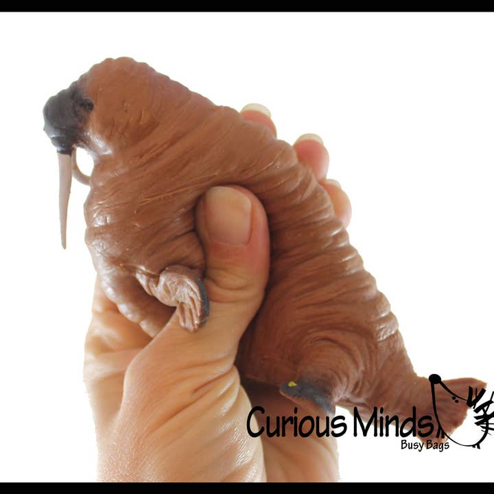 Curious Minds Toys – wholesale Mjuk leksak - Barn och baby – 1 Walrus Stretchy and Squeezy Toy - Crunchy Pärlfylld - Fi