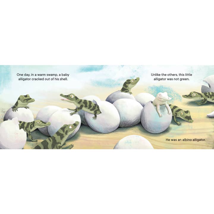 Penguin Random House LLC - Wholesale Preschool Book (3-5) - Claude : The True Story of a White Alligator2
