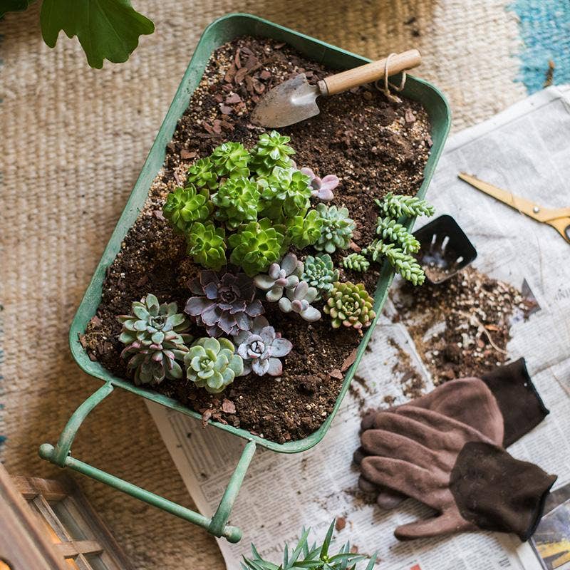 Rustic Reach - Wholesale Planter Box - Decorative Planter Cart Green Metal Cart Planter3