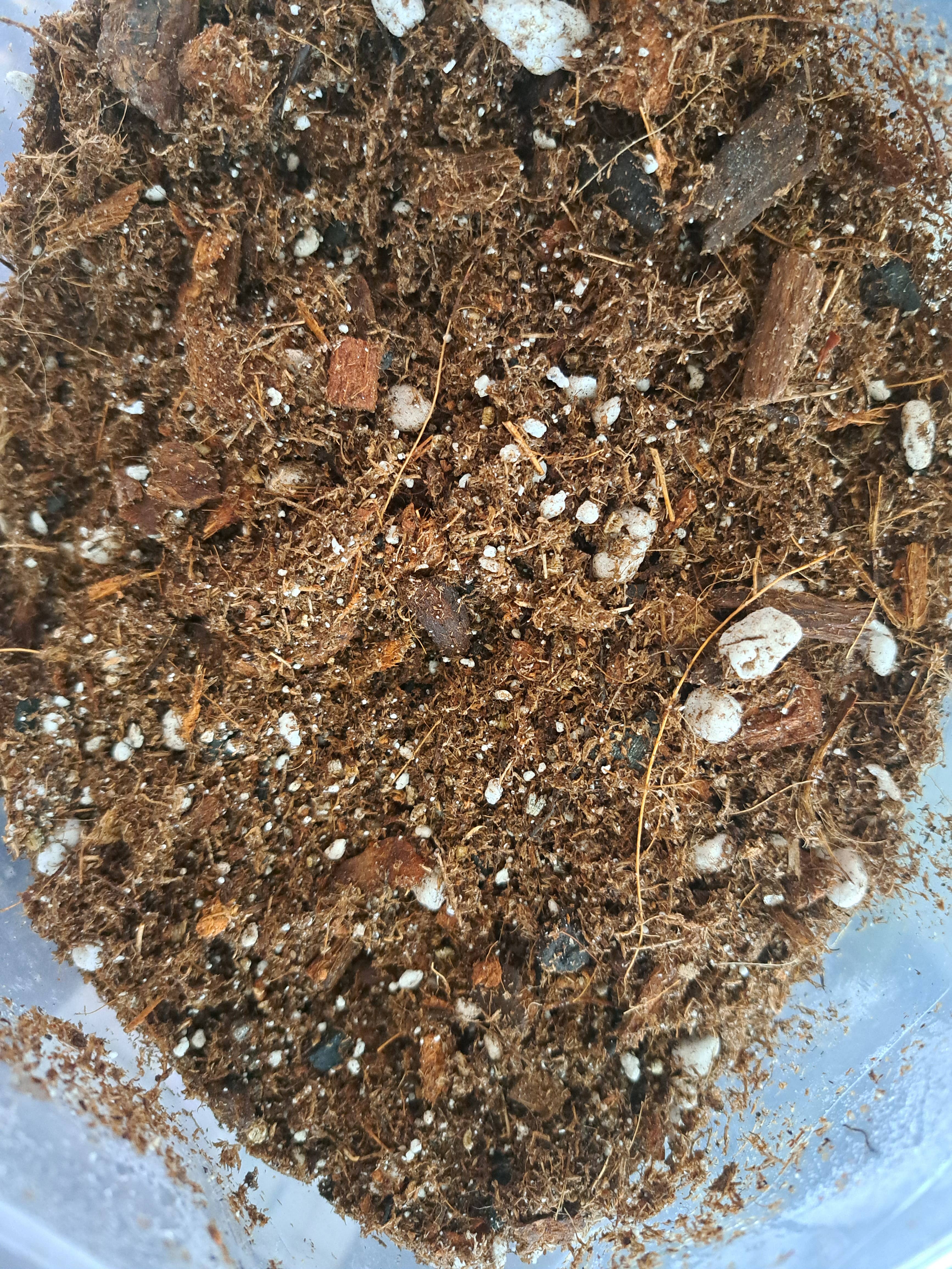 The plant project - Wholesale Planting/Potting Soil - Aroid Hand Mixed Soil1