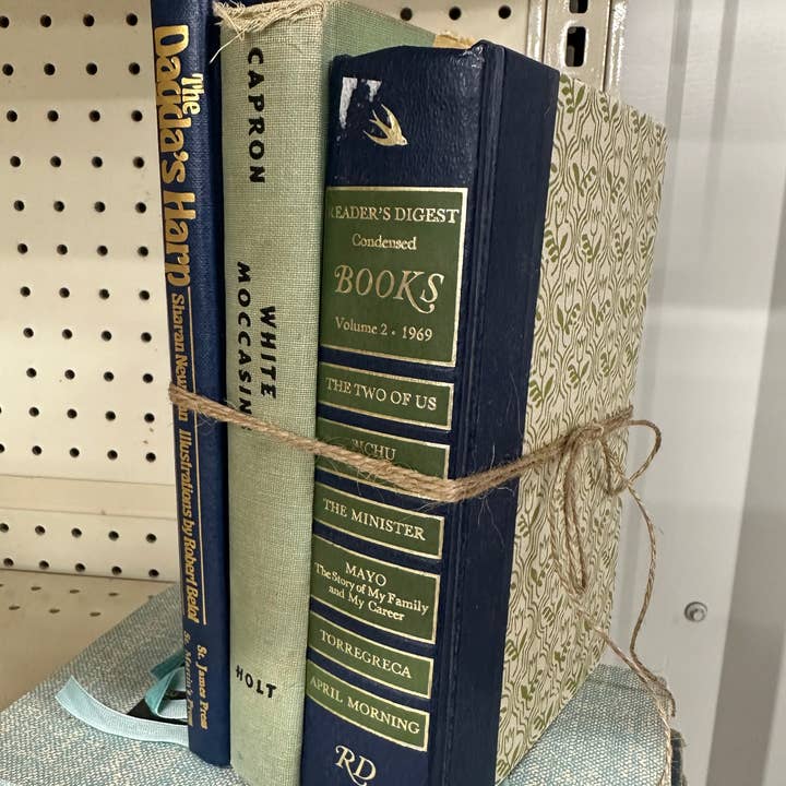 Made Market Co. - Wholesale Decorative Tabletop Object - Decorative Vintage Books Decor - Cool Colors. Set of 37