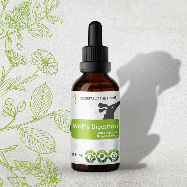 Ulvens fordøjelse. Sund fordøjelsesstøtte hos hunde for engroshandel hos Secrets Of The Tribe