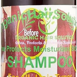 Organic Hair Solution – Großhandel Haarshampoos – Bio-Shampoo mit Aloe Vera, Vitamin E, Hagebutten, Hanf, Rizinusöl, Teebaum, Argan, Macadamia, Kokosnuss und Jojobaextrakt (33,8 OZ) für Damen und Kinder