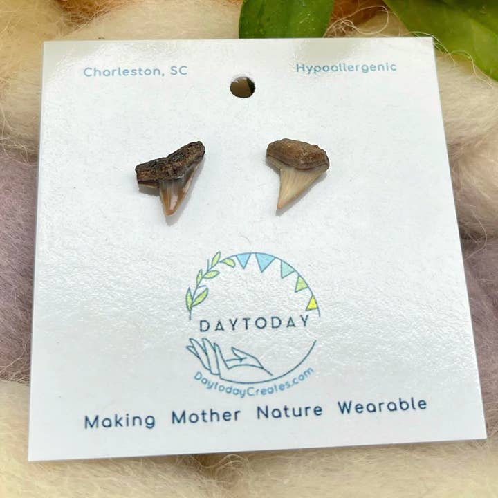 Clous en dents de requin, naturels pour la vente par Daytoday Creations