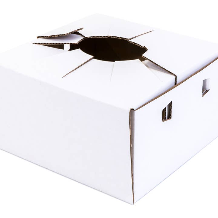 UNIMIX FLORAL - Wholesale Vase - Cardboard Delivery Vase Carry Out
