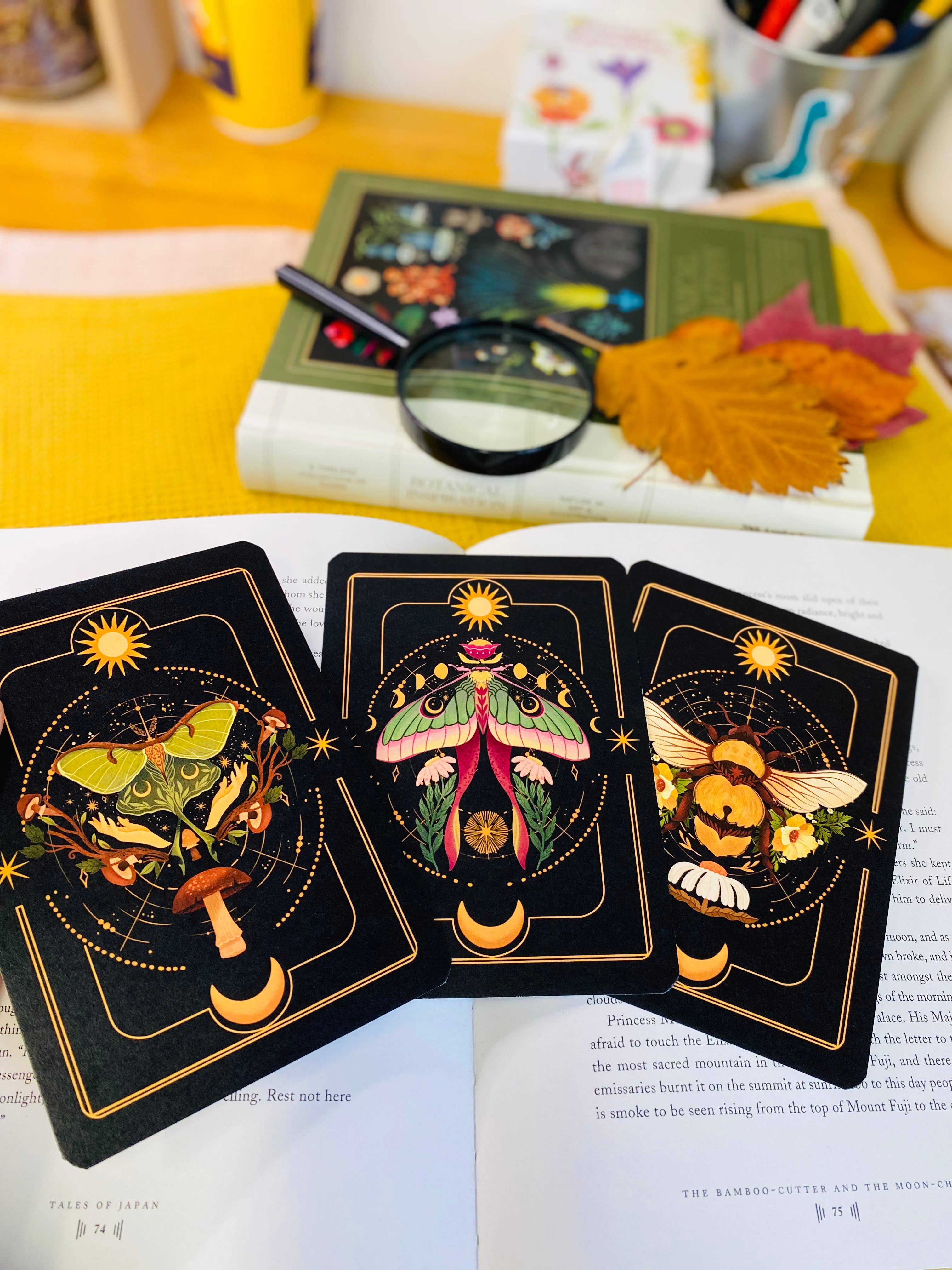 Split Moon Studios - Wholesale Art Print - A Set of Insect Art Prints - A6 Post Card Size - Artprint10