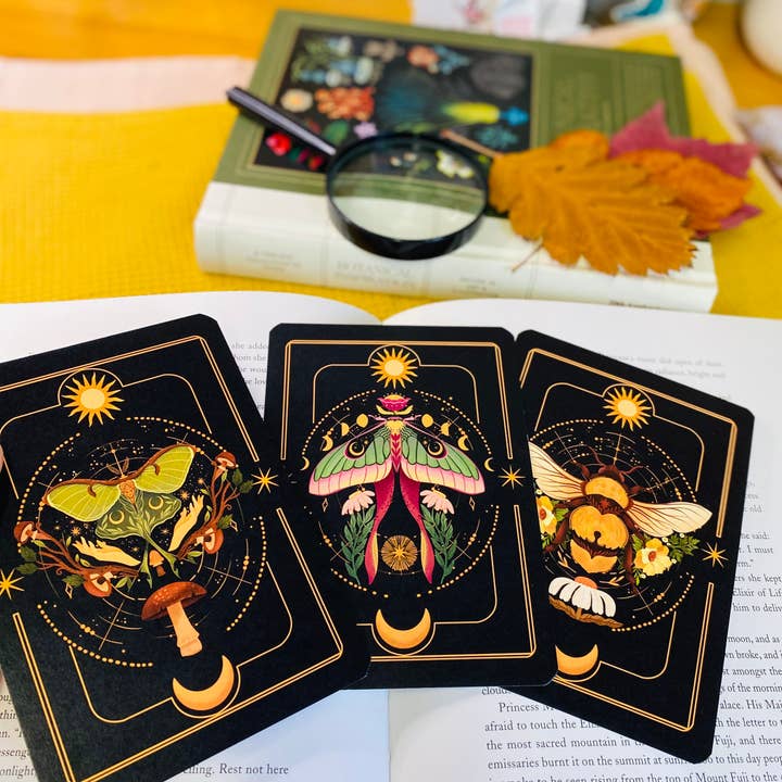 Split Moon Studios - Wholesale Art Print - A Set of Insect Art Prints - A6 Post Card Size - Artprint10