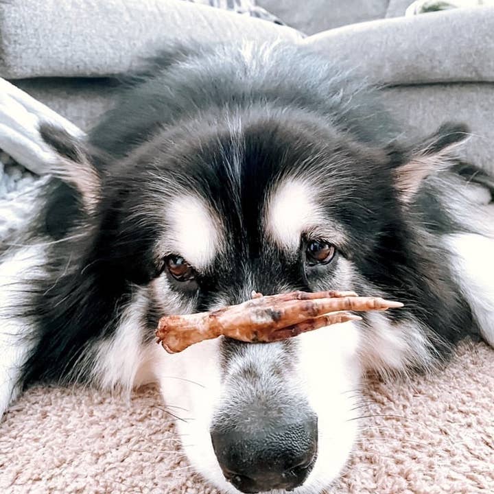 Naked Beasts, Inc. - Wholesale Pet Treats - Dog - Chicken Feet