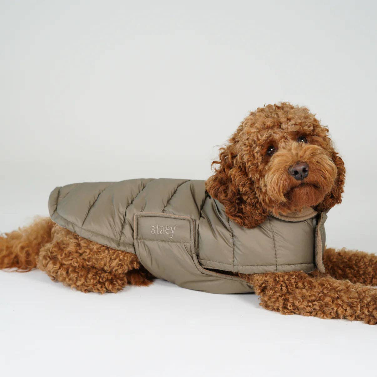 Staey - Wholesale Hondenjack - Hond - Nora Hondenjas | Taupe9