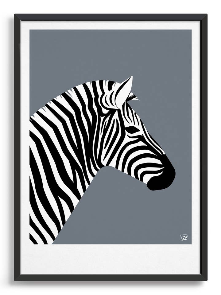 Zebra per la vendita all'ingrosso da parte di Rocket Jack