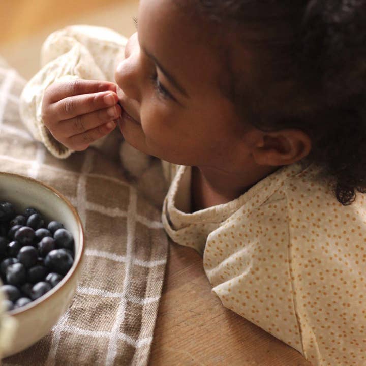 Avery Row – wholesale Bib – Baby – Sleeved Bib - Daisy Meadow3